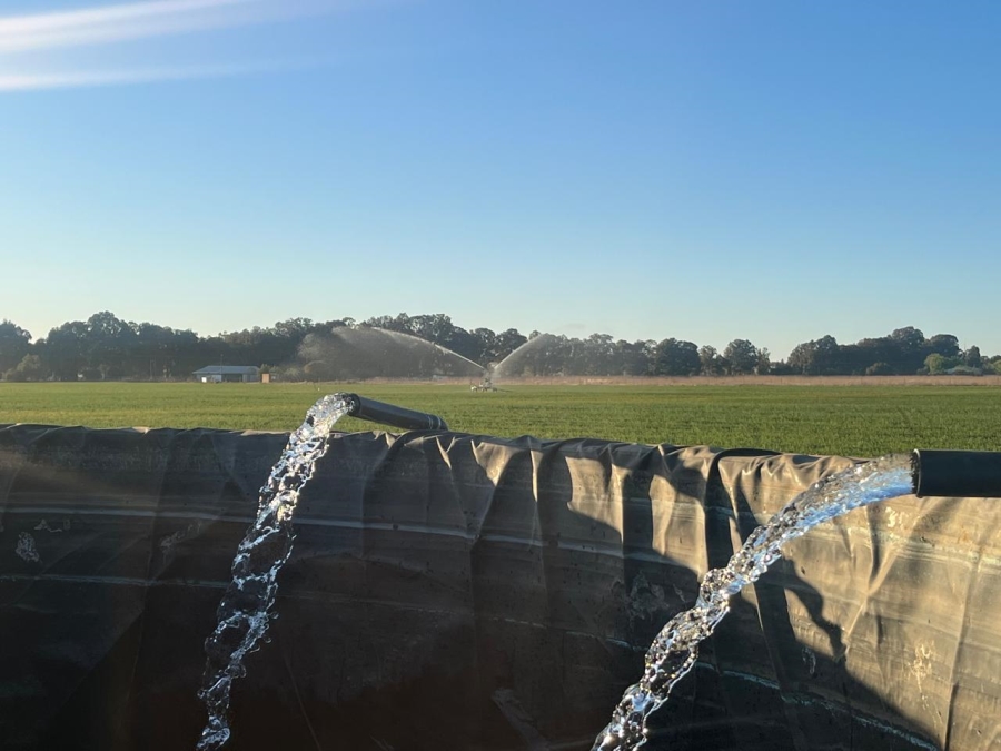 Commercial Property for Sale in Arcadia SH Free State